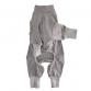 wear terahertz coverall lily gray