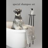 spring special set shampoo🫧30% OFF