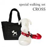 special spring walking set CROSS